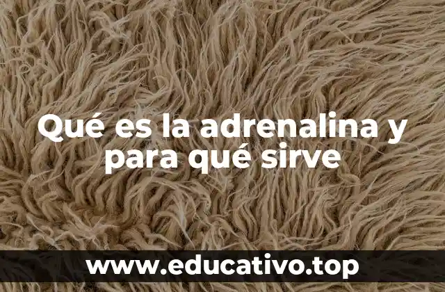 Qué es la adrenalina y para qué sirve