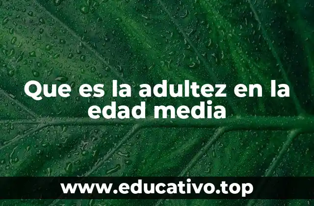 Las expectativas sociales en la transición a la adultez