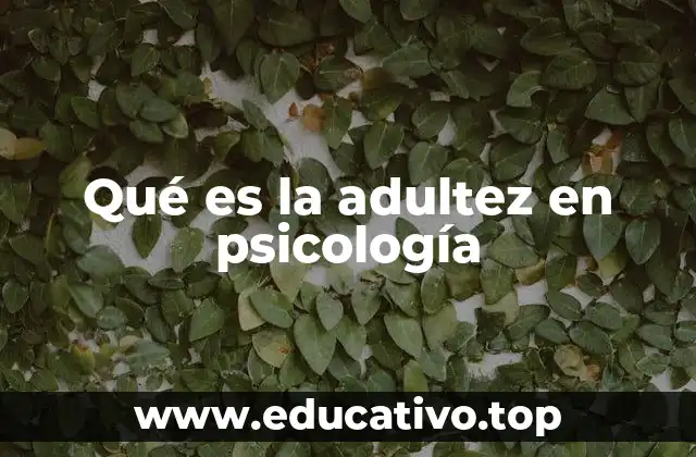 Qué es la adultez en psicología