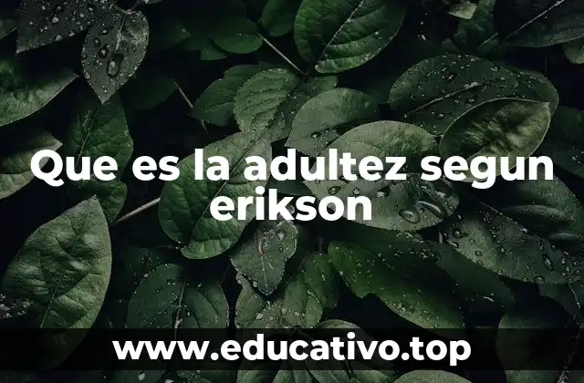 La evolución de la identidad en la adultez según Erikson