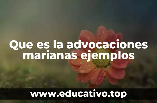 La importancia de las advocaciones en la devoción católica