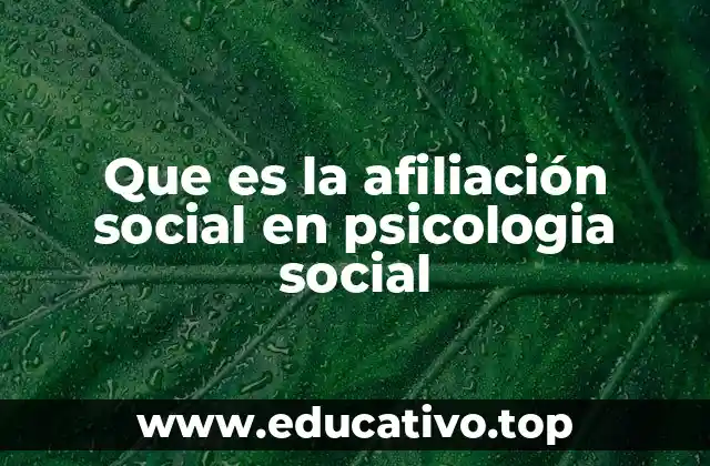Que es la afiliación social en psicologia social