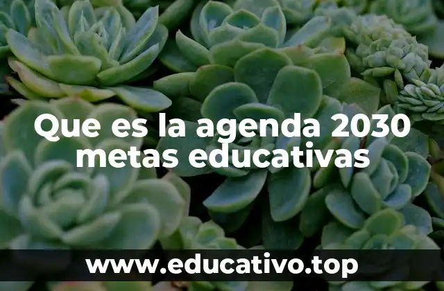 Que es la agenda 2030 metas educativas