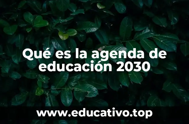 Qué es la agenda de educación 2030