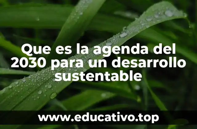 Que es la agenda del 2030 para un desarrollo sustentable