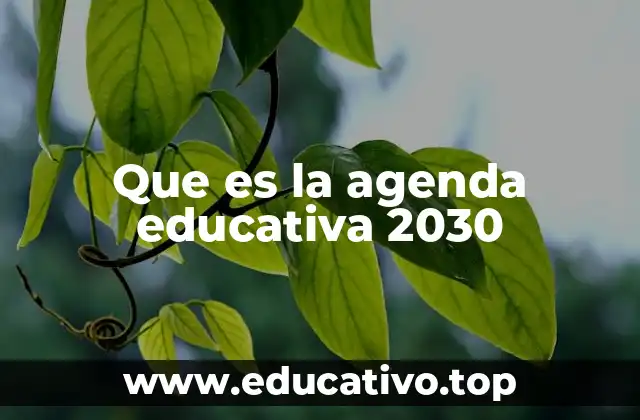 Que es la agenda educativa 2030