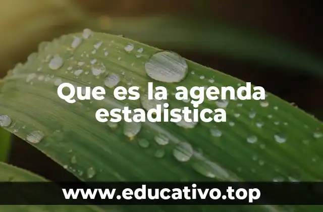 Que es la agenda estadistica