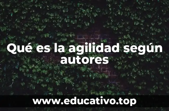 Qué es la agilidad según autores