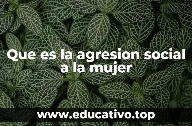 Que es la agresion social a la mujer