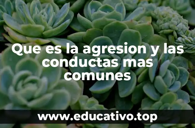 Que es la agresion y las conductas mas comunes