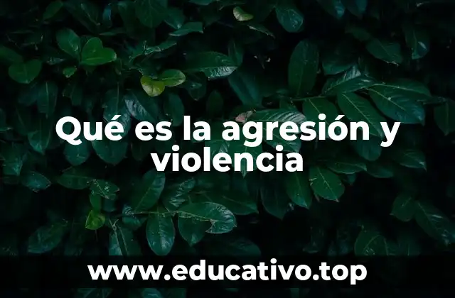 Qué es la agresión y violencia