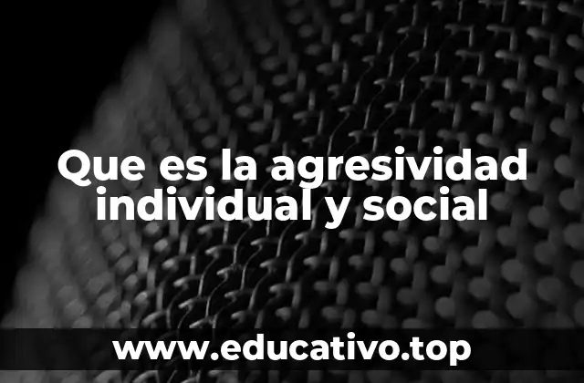 Que es la agresividad individual y social