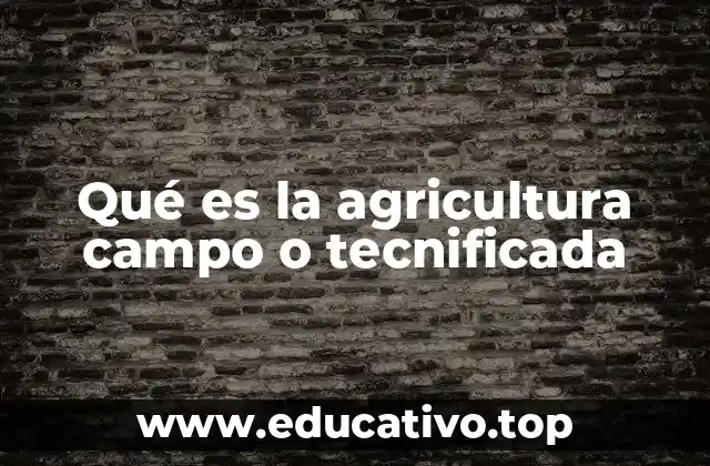 Qué es la agricultura campo o tecnificada
