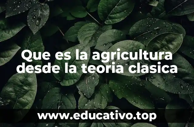 Que es la agricultura desde la teoria clasica