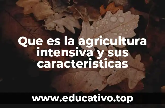 Que es la agricultura intensiva y sus caracteristicas