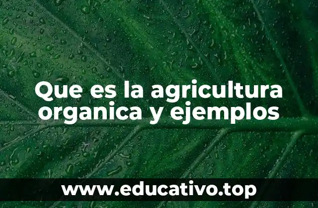 Que es la agricultura organica y ejemplos