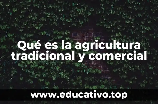 Qué es la agricultura tradicional y comercial