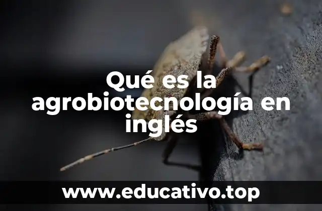 Qué es la agrobiotecnología en inglés