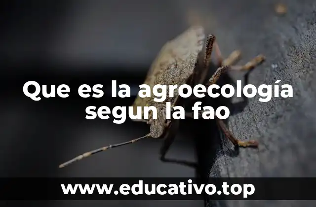 Que es la agroecología segun la fao