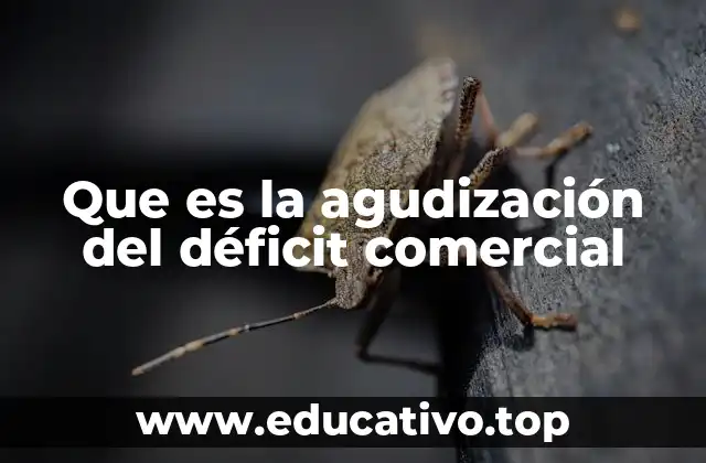 Que es la agudización del déficit comercial