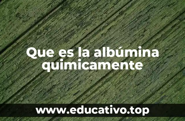 Que es la albúmina quimicamente