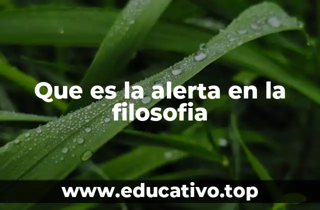 Que es la alerta en la filosofia