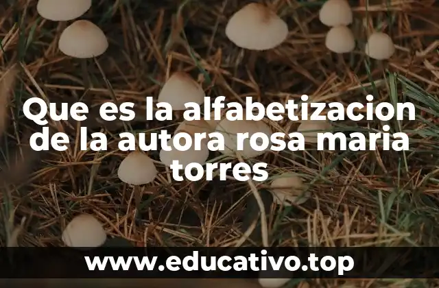 Que es la alfabetizacion de la autora rosa maria torres
