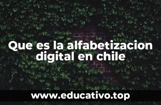 Que es la alfabetizacion digital en chile
