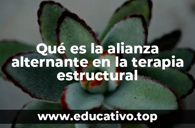 Qué es la alianza alternante en la terapia estructural