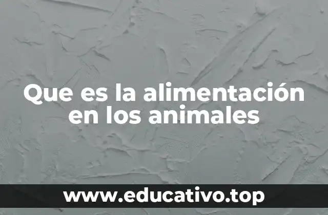 Que es la alimentación en los animales