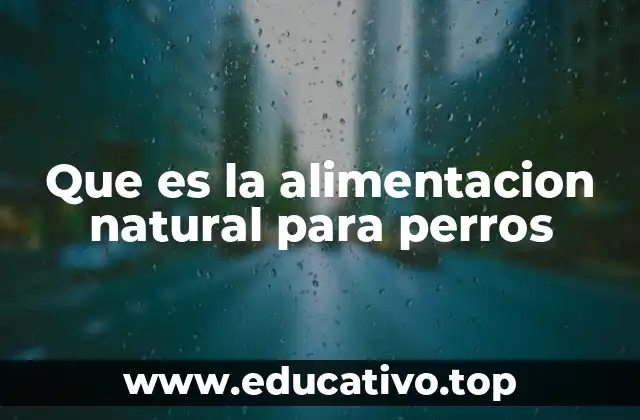 Que es la alimentacion natural para perros
