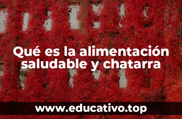 Qué es la alimentación saludable y chatarra