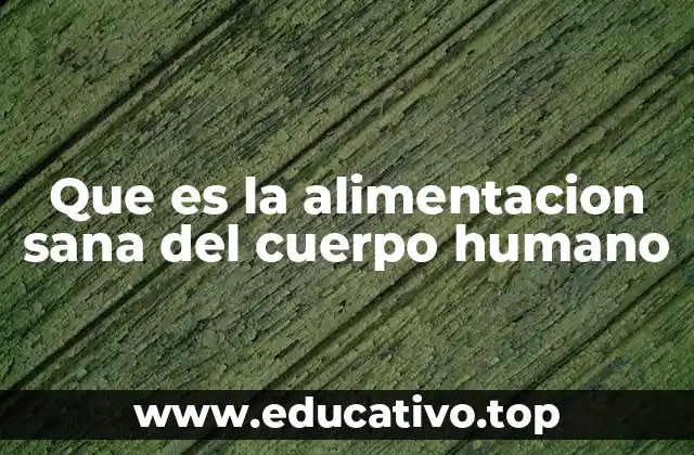 Que es la alimentacion sana del cuerpo humano