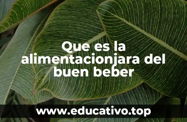 Que es la alimentacionjara del buen beber