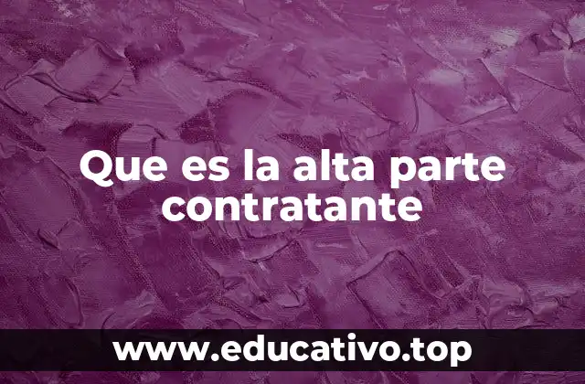 Que es la alta parte contratante