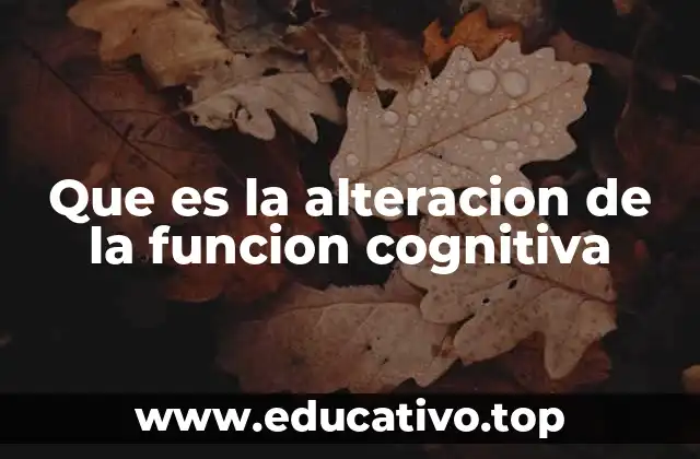 Que es la alteracion de la funcion cognitiva