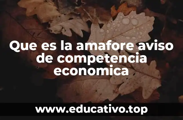 Que es la amafore aviso de competencia economica