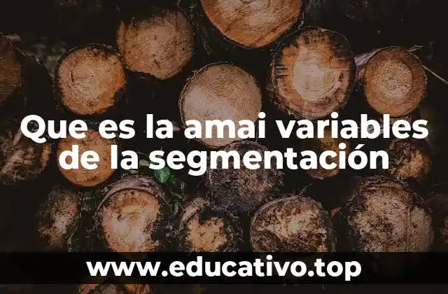 Que es la amai variables de la segmentación