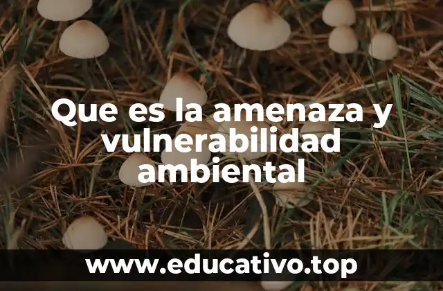 Que es la amenaza y vulnerabilidad ambiental