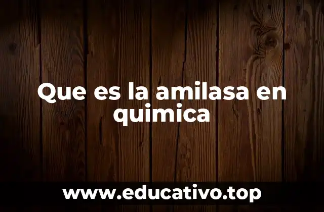 La función de la amilasa en el proceso digestivo