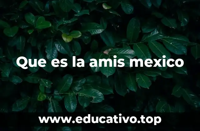 El papel de la AMIS en el desarrollo social mexicano