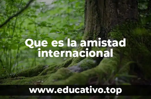 Que es la amistad internacional