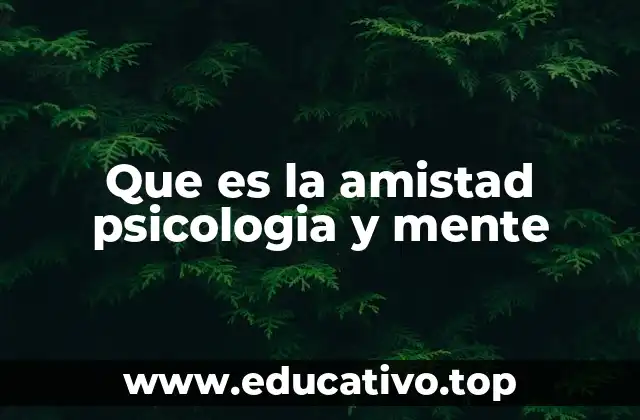 Que es la amistad psicologia y mente