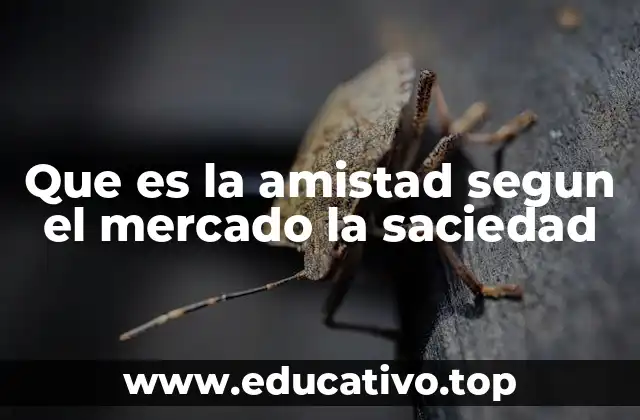 Que es la amistad segun el mercado la saciedad