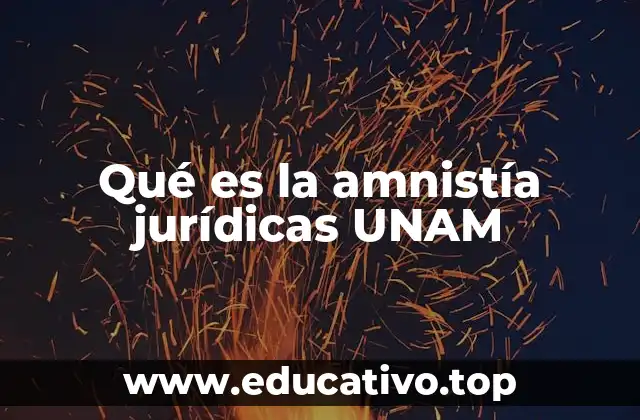 Qué es la amnistía jurídicas UNAM