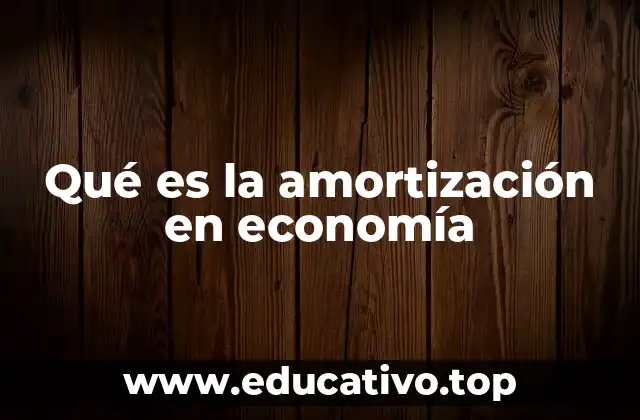 Qué es la amortización en economía
