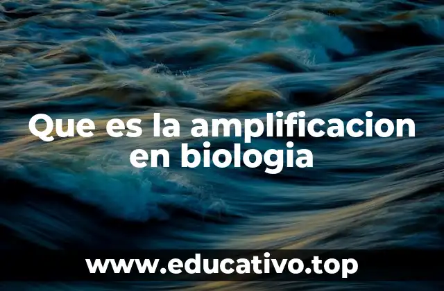 Que es la amplificacion en biologia