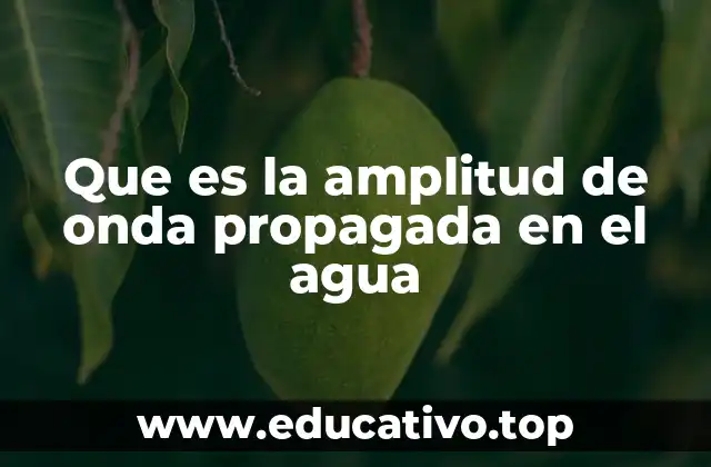 Que es la amplitud de onda propagada en el agua