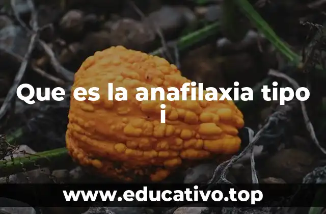 Que es la anafilaxia tipo i