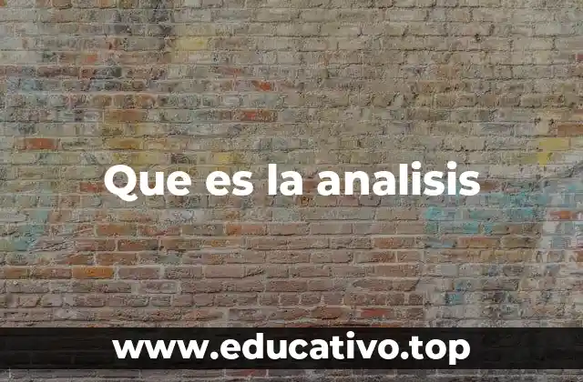 Que es la analisis